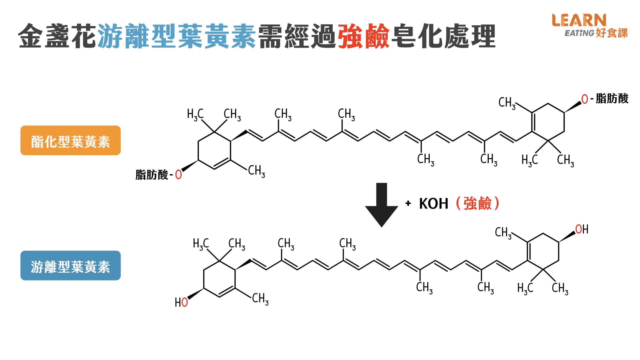 酯化型-游離型-結構-葉黃素-吸收