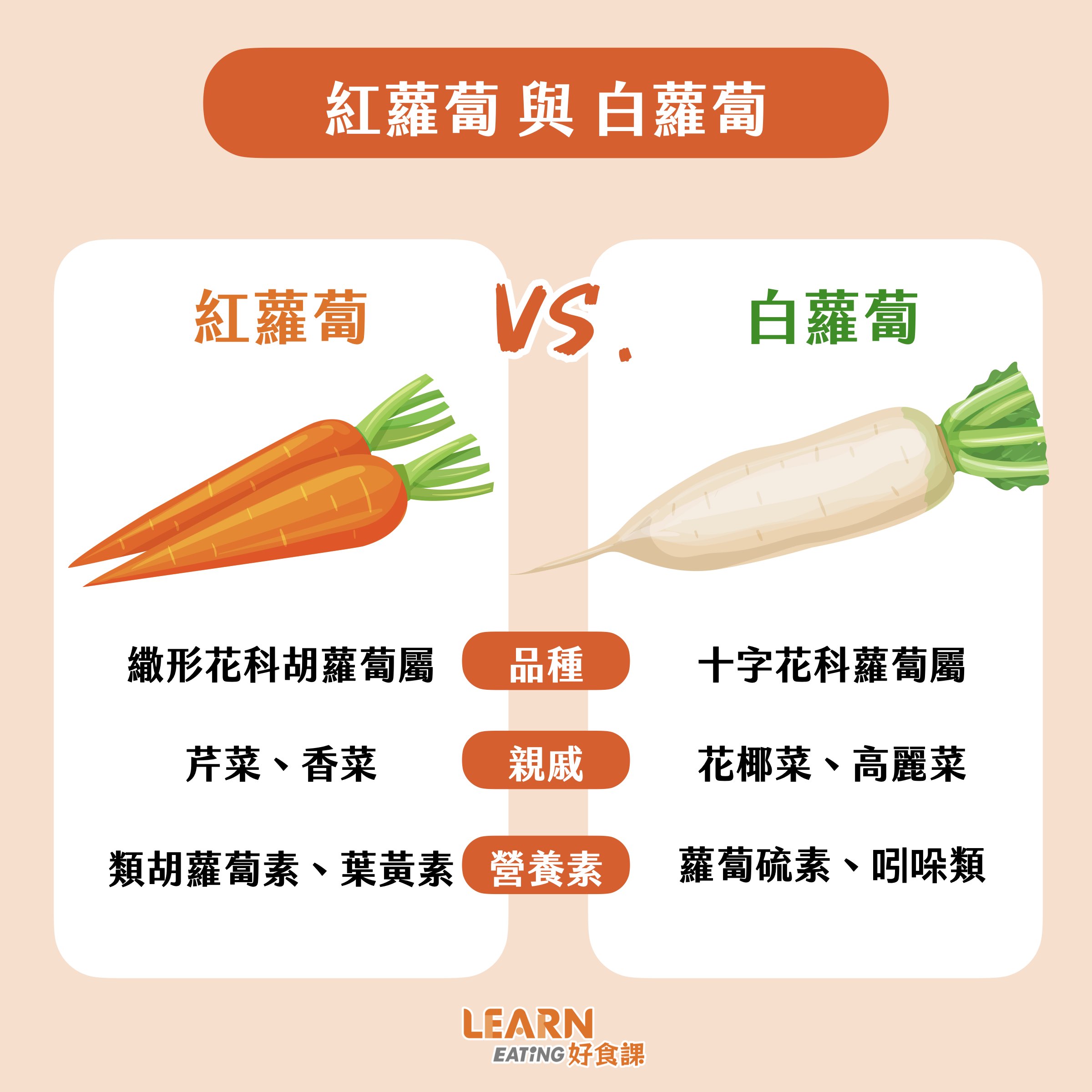 紅蘿蔔-胡蘿蔔-白蘿蔔-差異-品種-營養