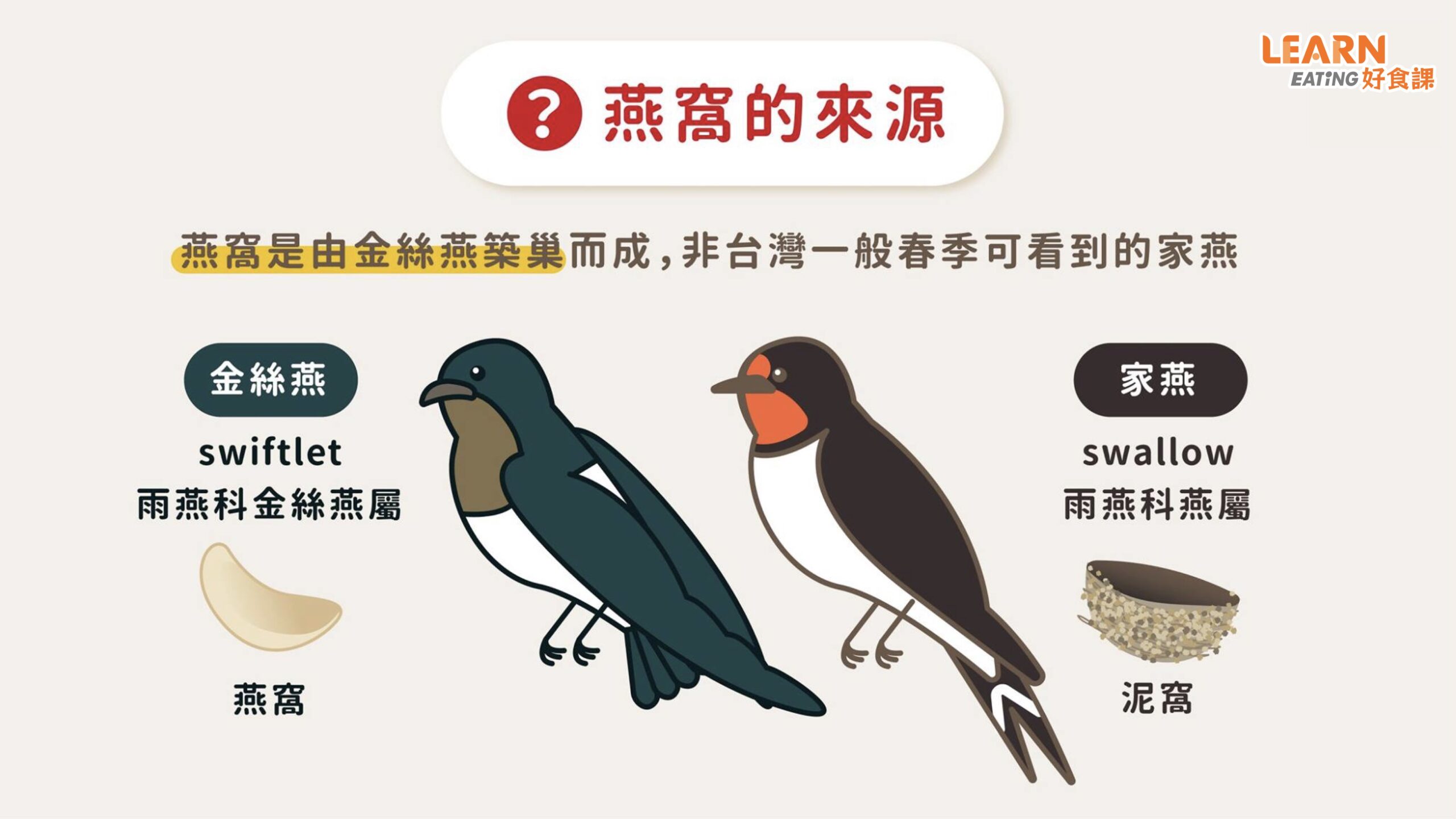 燕窩來源-燕窩品種