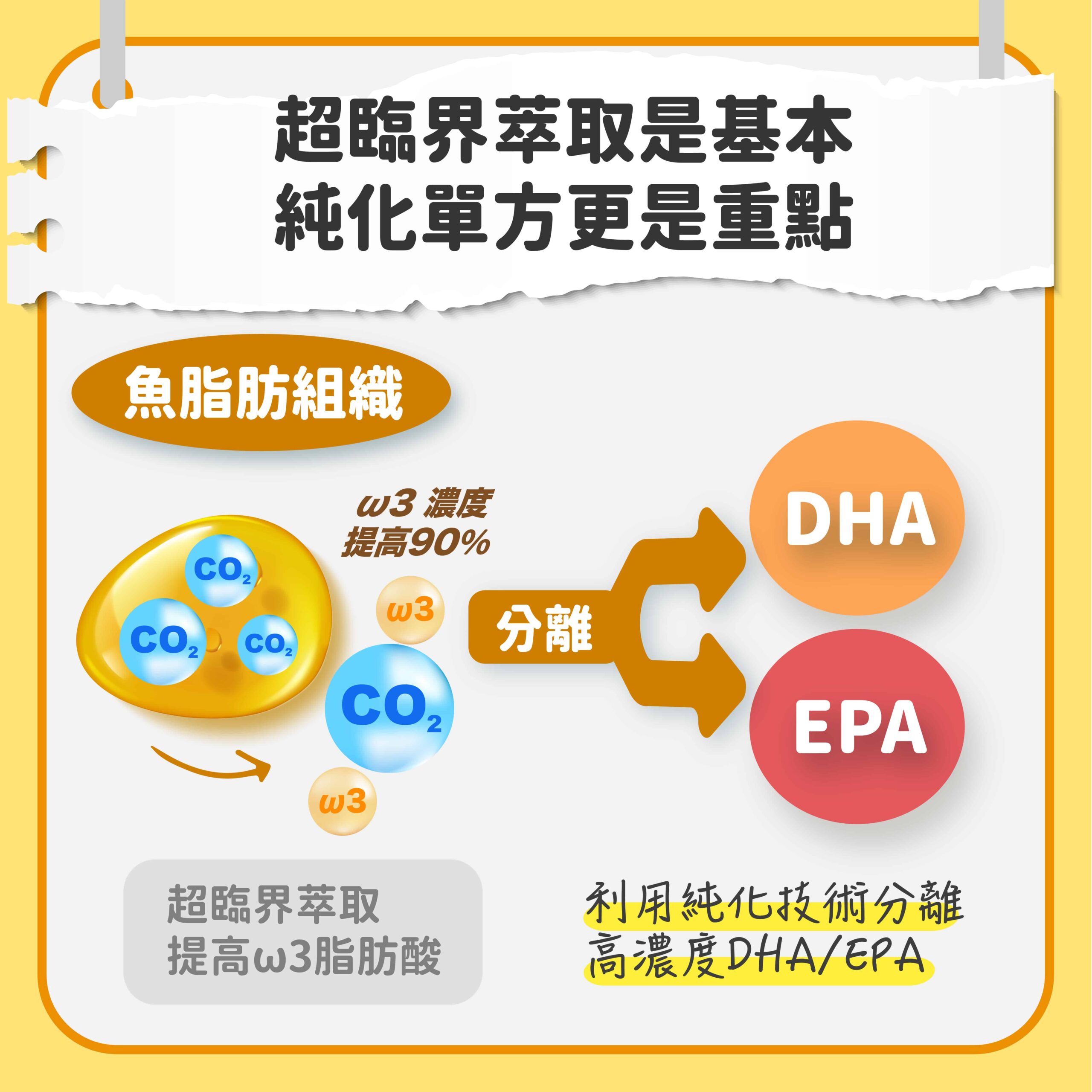 魚油製程-魚油加工-魚油純化-DHA-EPA-超臨界萃取