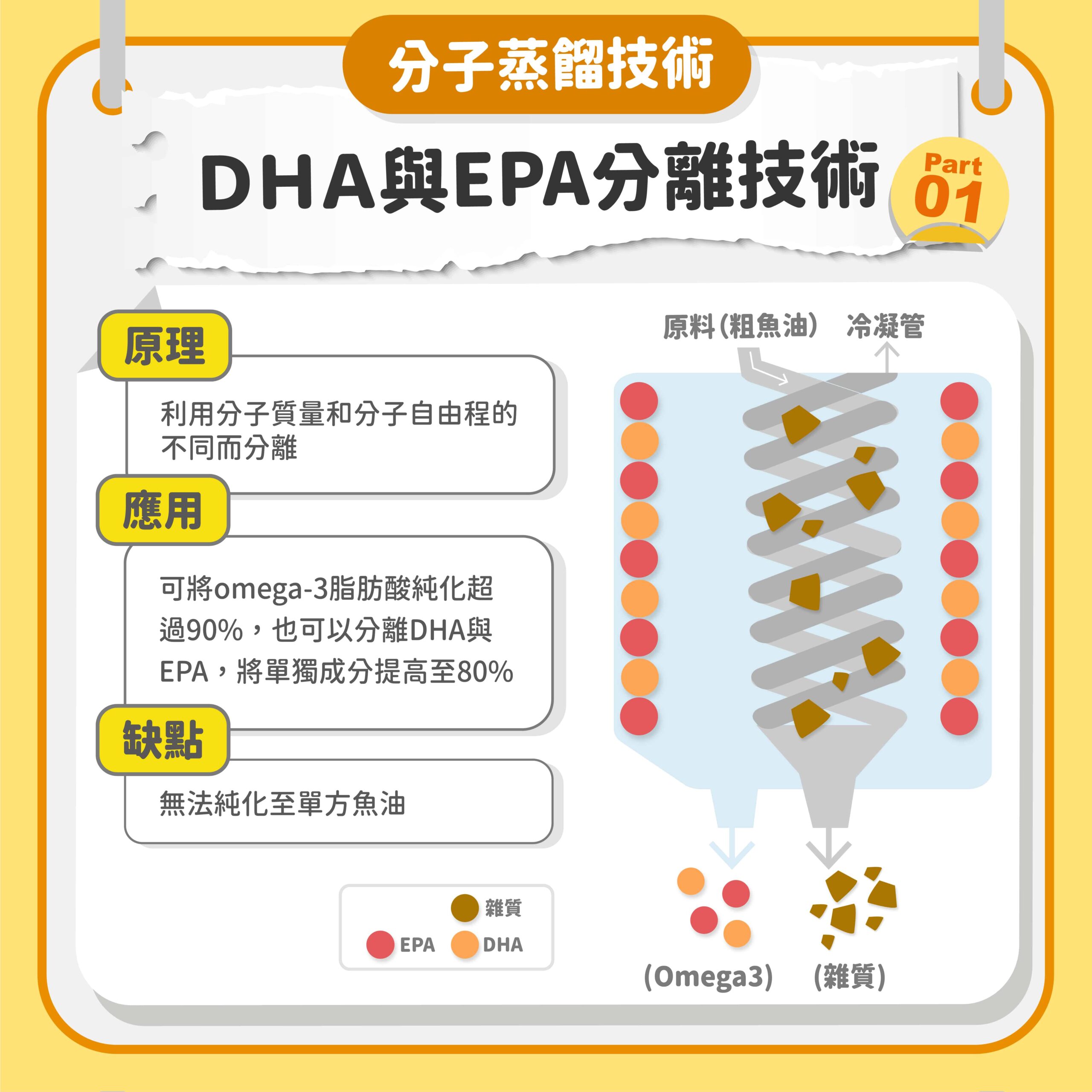 魚油製程-魚油加工-魚油純化-DHA-EPA-超臨界萃取-分子蒸餾-是什麼